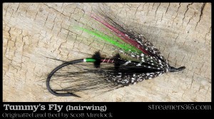 Tammy's Fly - Hairwing by Scott Murdock