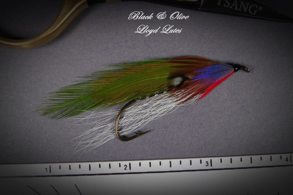 Black & Olive - Lloyd Lutes