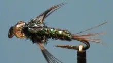 Video thumb for Beadhead Flashback Pheasant Tail Nymph