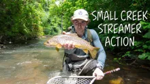 Video thumb for Big Browns in Small Water