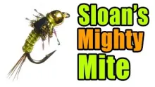 Video thumb for Mighty Mite Baetis