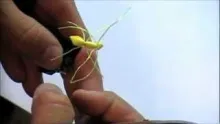 Video thumb for Terrestrial Spider Fly (foam)