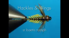 Video thumb for Baetis Nymph