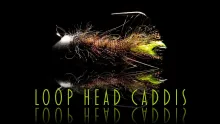 Video thumb for Loop Head Caddis