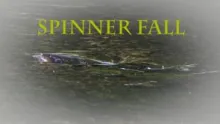 Video thumb for Spinner Fall