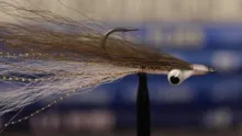 Video thumb for Clouser Minnow