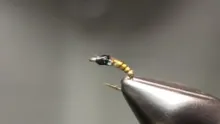 Video thumb for Biot Bling Midge