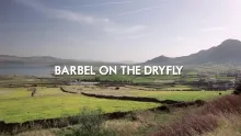 Video thumb for Barbel on the dryfly