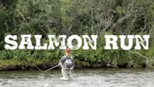 Video thumb for Salmon Run - Finnmark