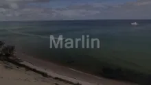 Video thumb for Marlin Teaser