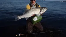 Video thumb for Sea bass on the fly