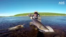 Video thumb for Fly Fishing for Salmon. Yokanga River, Russia