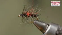 Video thumb for Bibio palmered wet fly