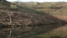 Video thumb for Barbel on the dry fly in Spain