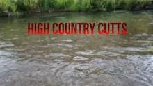 Video thumb for High Country Cutts