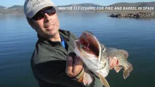 Video thumb for Winter fly fishing for pike and barbel in Spain