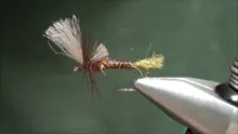 Video thumb for Improved Cripple Mayfly