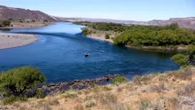 Video thumb for Migratory Brown Trout from Limay River