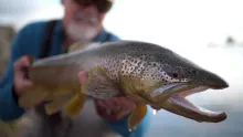 Video thumb for Montana Fishtales