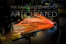 Video thumb for My Favourite Pikefly