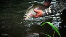 Video thumb for The Vah River Slovakia