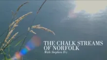 Video thumb for The Chalk Streams of Norfolk