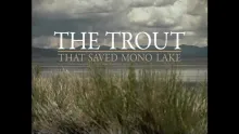 Video thumb for The Trout That Saved Mono Lake