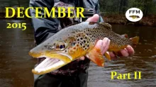 Video thumb for Michigan Fly Fishing II