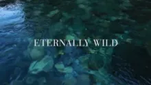 Video thumb for Eternally Wild