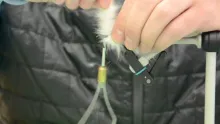 Video thumb for Ed Shenk's White Streamer