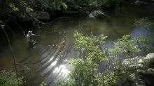 Video thumb for Desoto State Park