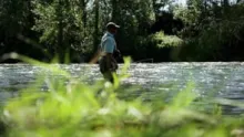 Video thumb for Spey and Switch Fly Rods