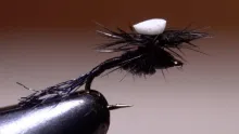 Video thumb for Brooks' Sprout Midge Emerger