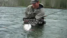 Video thumb for Steelhead Country preview