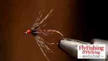 Video thumb for Pheasant Tail Soft Hackle