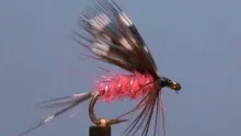 Video thumb for The Parker Wet Fly