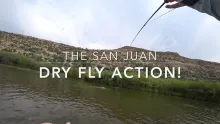 Video thumb for Dry Fly on the San Juan River