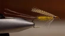 Video thumb for Stonefly Creeper