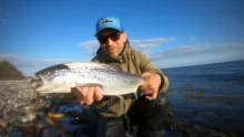 Video thumb for Wild sea trout fishing in West Zealand