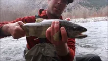 Video thumb for Catch and Release