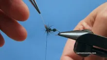 Video thumb for Steve Culton's Drowned Ant Soft Hackle