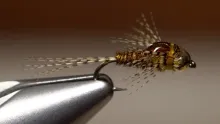 Video thumb for SBR Sulphur Nymph