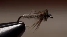 Video thumb for Muskrat Nymph