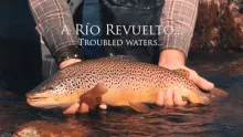 Video thumb for A Rio Revuelto. Official Trailer 2