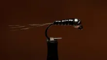 Video thumb for Perdigon Style Zebra Midge