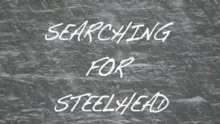 Video thumb for Searching For Steelhead