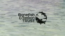 Video thumb for Bonefish Catch & Release: Best Handling Practices