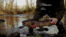 Video thumb for Autumn Trout