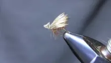 Video thumb for The Elk Hair Caddis