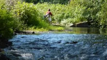 Video thumb for Fly fishing with friends